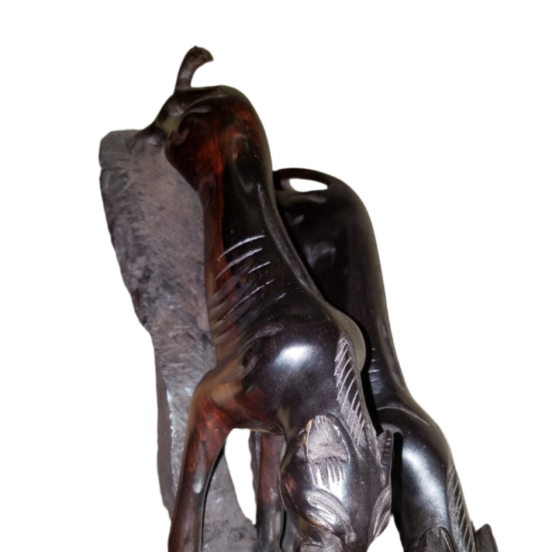 Ebony Stretching Cheetah